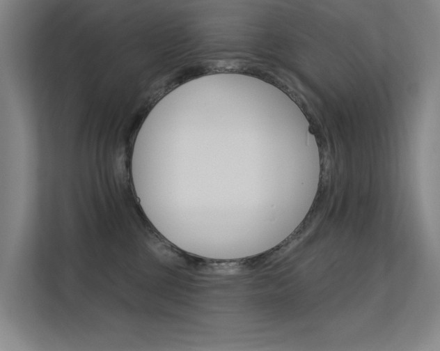 X0000112380377200908131328