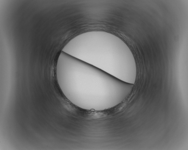 X0000112380379200908131328