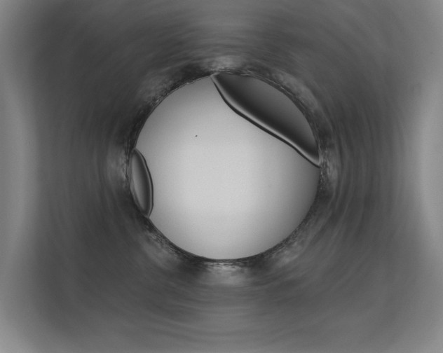 X0000112380380200908131328