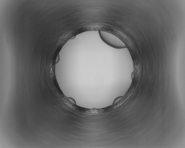 X0000112380381200908131329