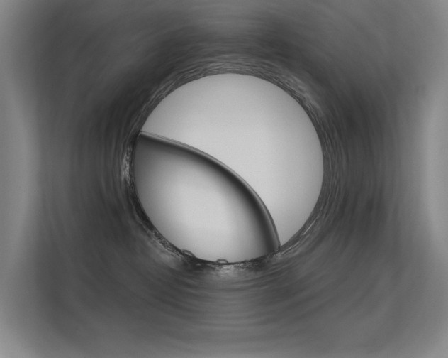 X0000112380382200908131329