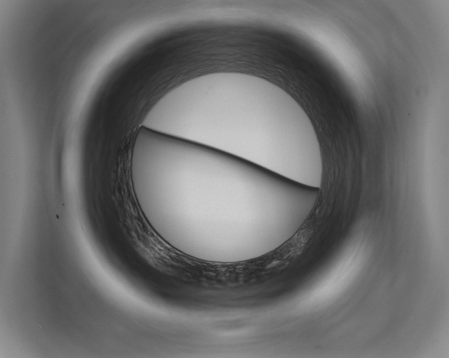 X0000112380383200908131329