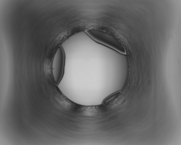 X0000112380384200908131329