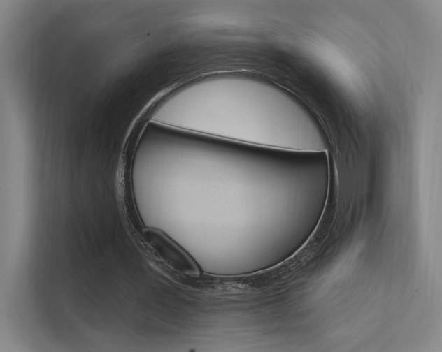 X0000112380387200908131328