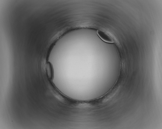 X0000112380397200908131328