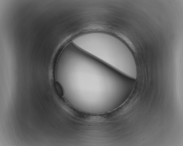 X0000112380399200908131328