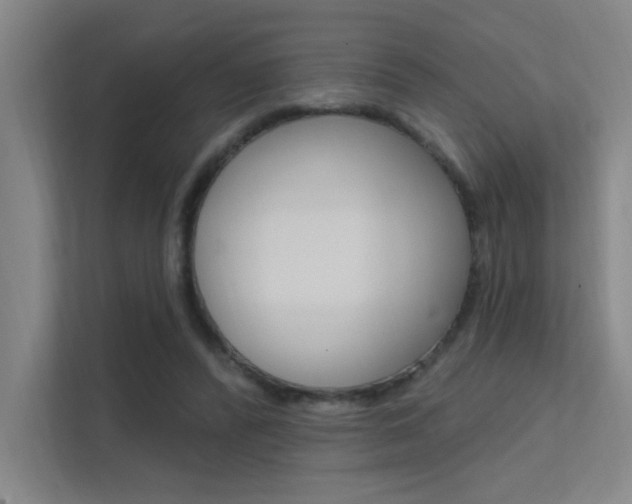 X0000112380400200908131328