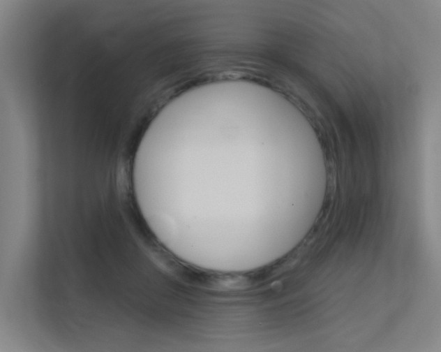 X0000112380410200908131328