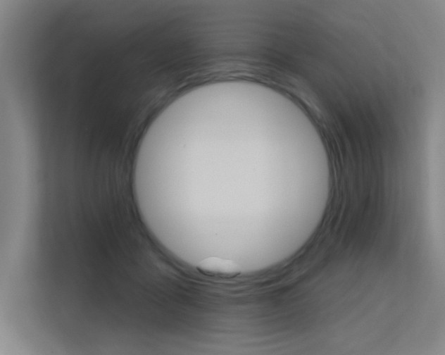 X0000112380411200908131328