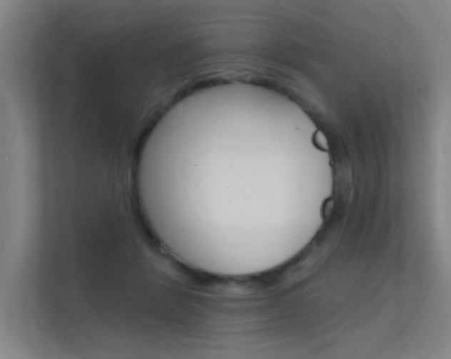 X0000112380412200908131328