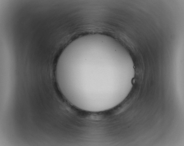 X0000112380416200908131328