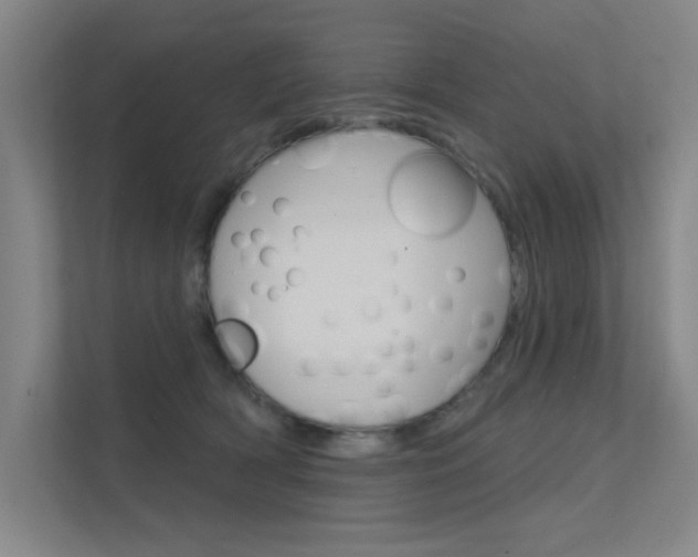 X0000112380418200908131327