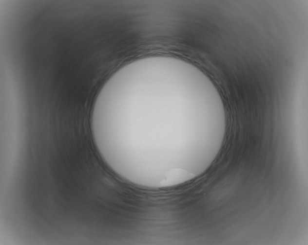 X0000112380419200908131327