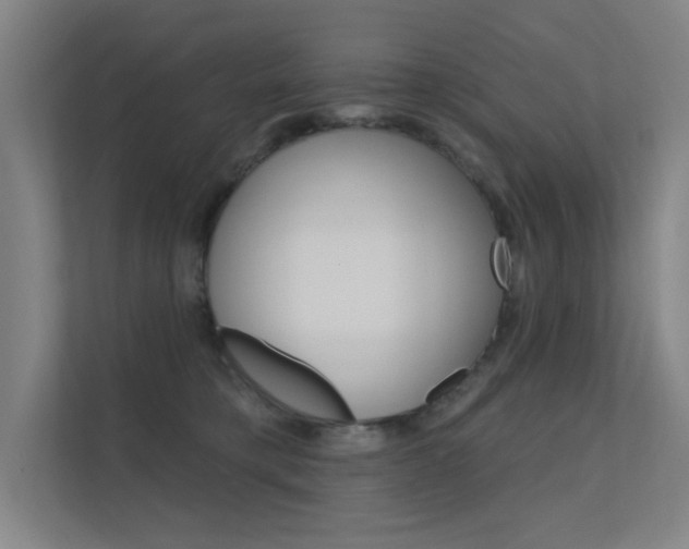 X0000112380421200908131327