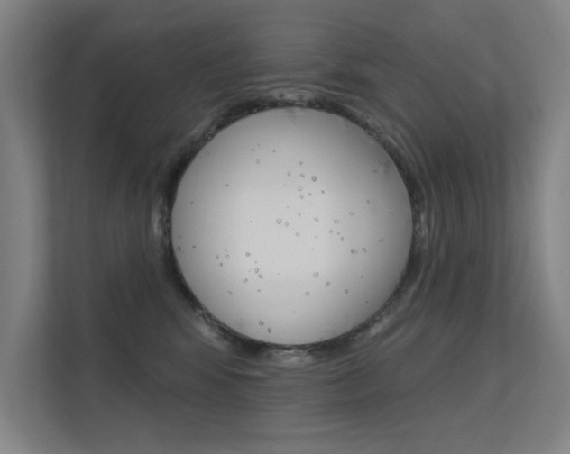 X0000112380424200908131327