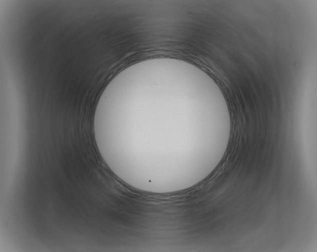 X0000112380425200908131327