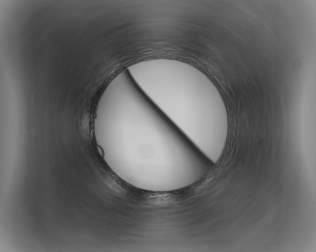 X0000112380428200908131327