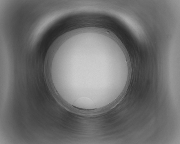 X0000112380431200908131327