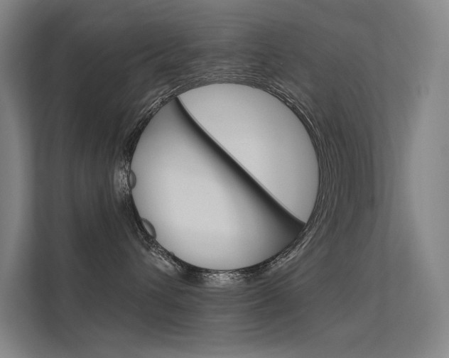 X0000112380432200908131327