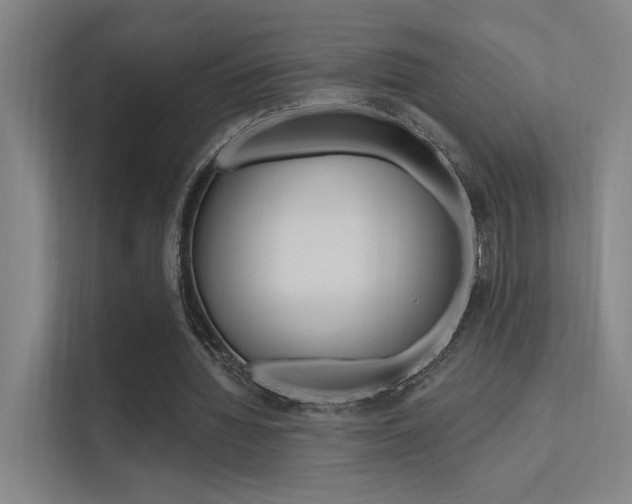 X0000112380436200908131327