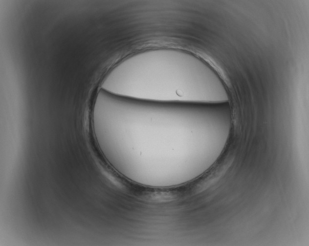 X0000112380445200908131327