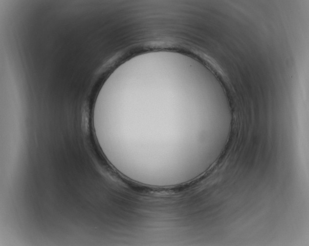 X0000112380446200908131327