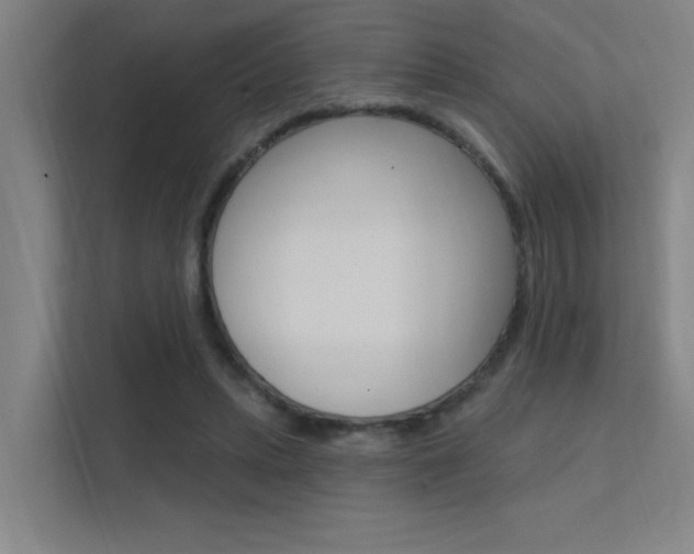 X0000112380447200908131327