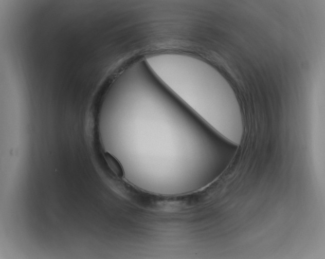 X0000112380448200908131327