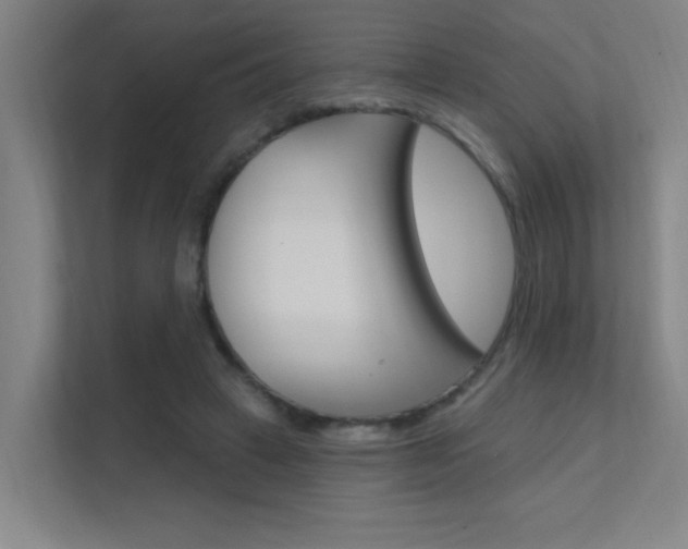 X0000112380449200908131327