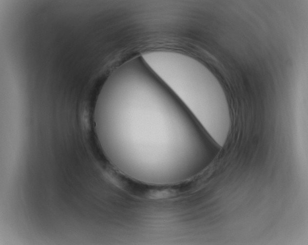 X0000112380452200908131327