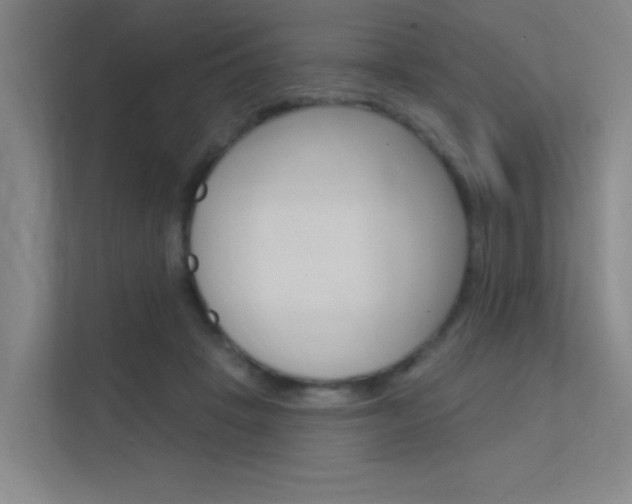 X0000112380457200908131327