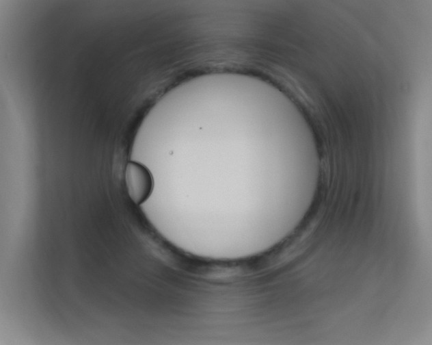 X0000112380458200908131327