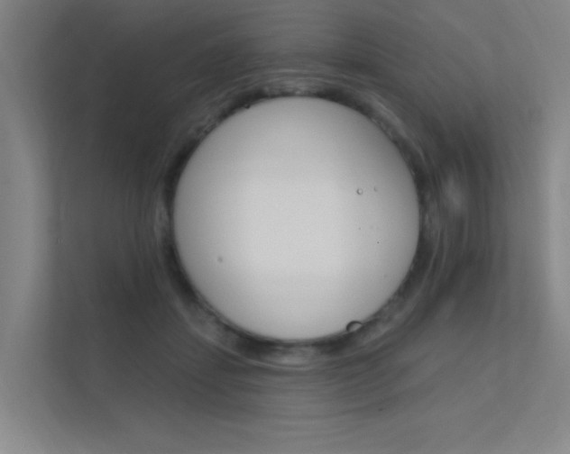 X0000112380459200908131327