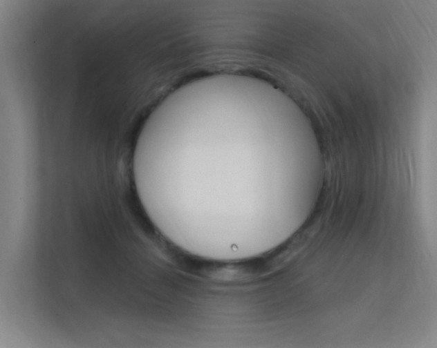 X0000112380460200908131327