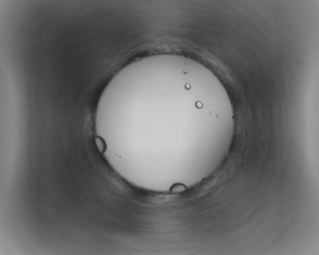 X0000112380465200908131327