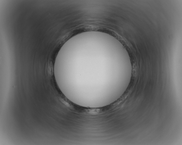 X0000112380474200908131327