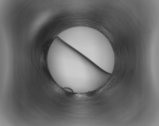 X0000112380477200908131327