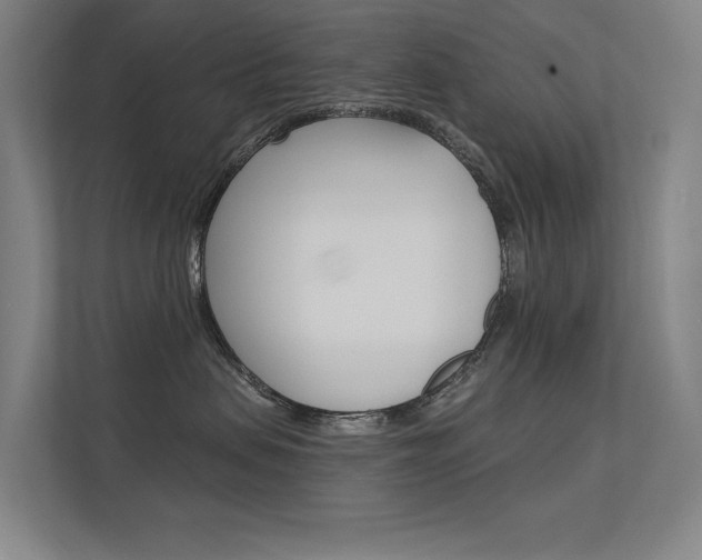 X0000112380479200908131327