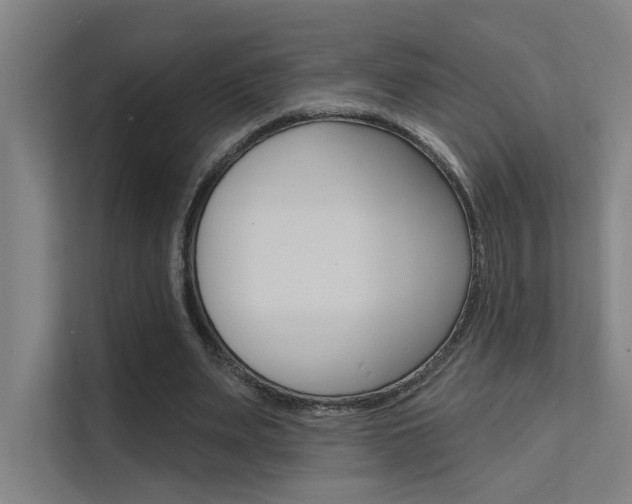 X0000112380487200908131327