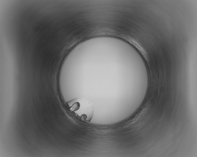 X0000112380489200908131327