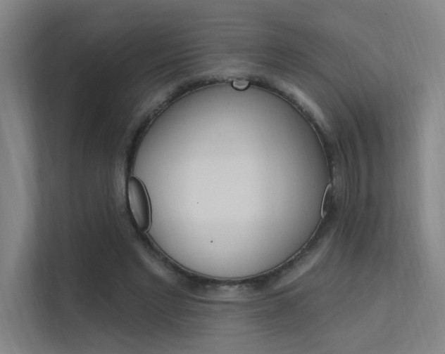 X0000112380493200908131327