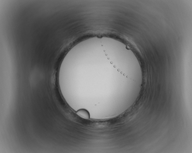 X0000112380495200908131326