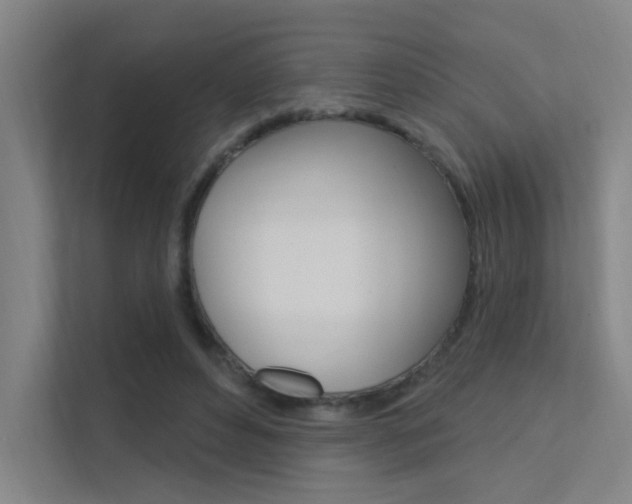 X0000112380496200908131326