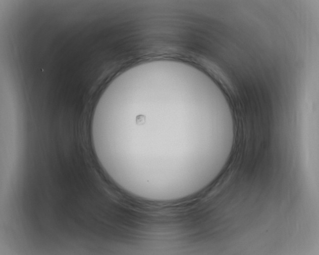 X0000112380501200908131326