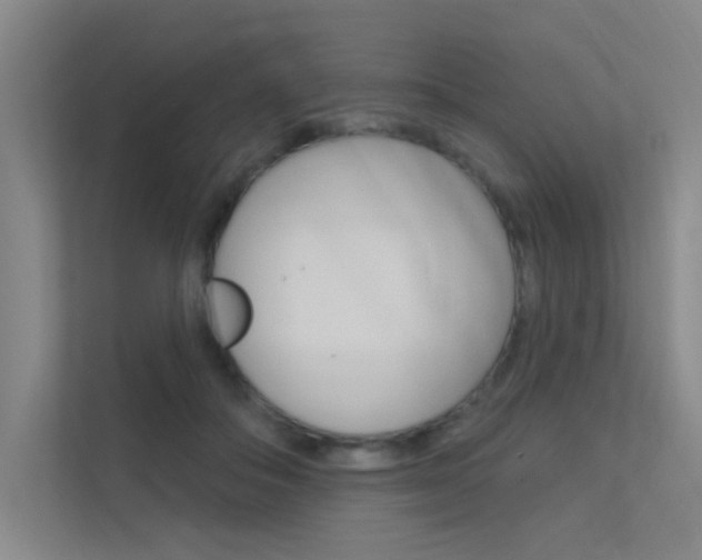 X0000112380506200908131326