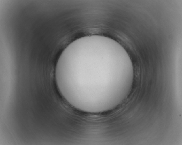 X0000112380507200908131326