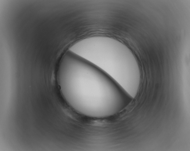 X0000112380508200908131326