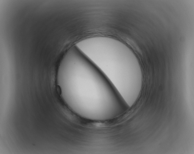 X0000112380509200908131326