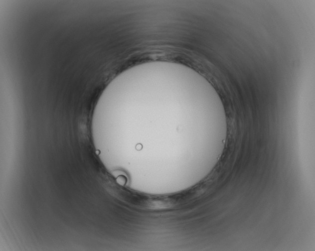 X0000112380510200908131326