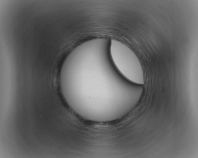 X0000112380515200908131326